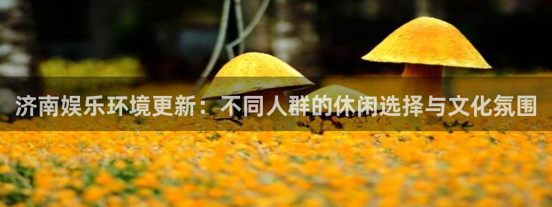 新航娱乐官网：济南娱乐环境更新：不同人群的休闲选择与文化氛围