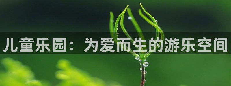 新航娱乐官网登录入口：儿童乐园：为爱而生的游乐空间