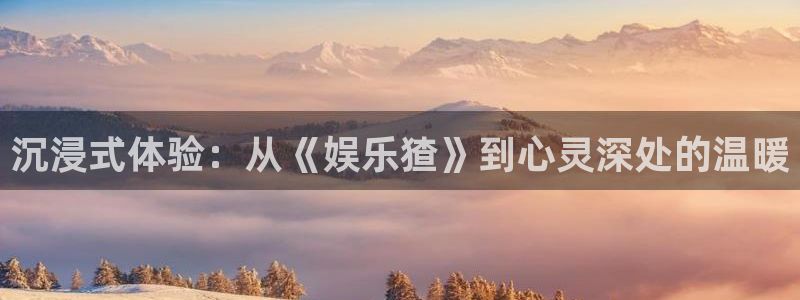 新航娱乐：沉浸式体验：从《娱乐猹》到心灵深处的温暖