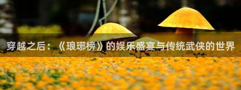 新航娱乐：穿越之后：《琅琊榜》的娱乐盛宴与传统武侠的世界