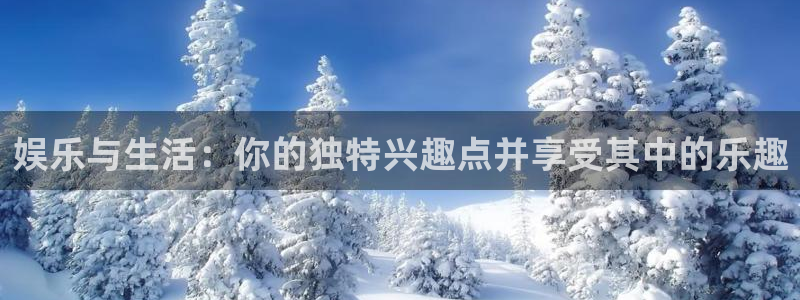 新航娱乐官网登录入口：娱乐与生活：你的独特兴趣点并享受其中的乐趣