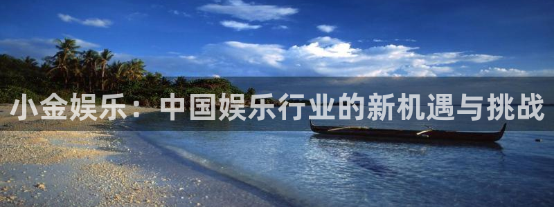 新航娱乐注册：小金娱乐：中国娱乐行业的新机遇与挑战