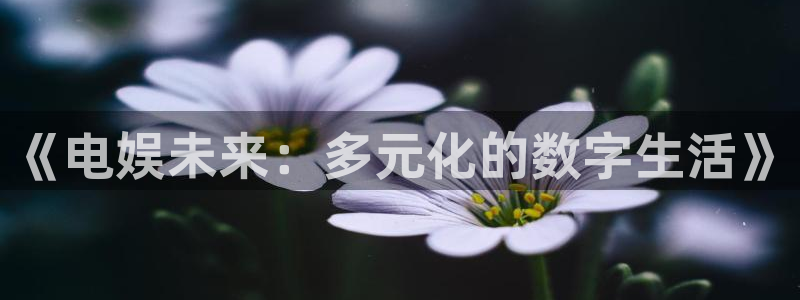 新航娱乐登录地址：《电娱未来：多元化的数字生活》