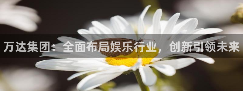 新航娱乐注册：万达集团：全面布局娱乐行业，创新引领未来