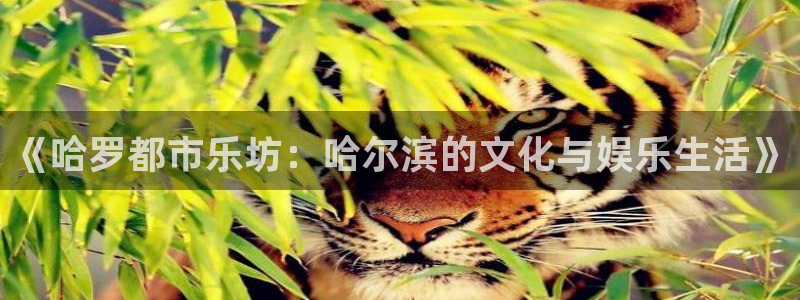 新航娱乐注册：《哈罗都市乐坊：哈尔滨的文化与娱乐生活》