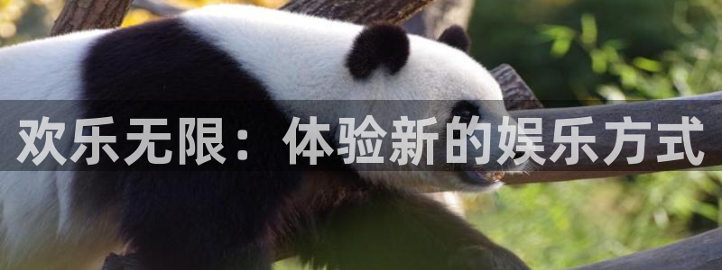 新航娱乐官网：欢乐无限：体验新的娱乐方式