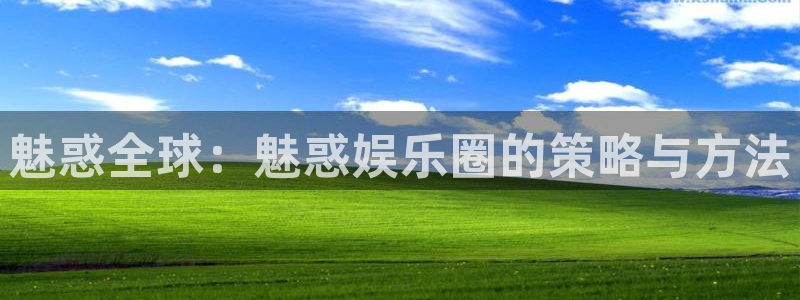 新航娱乐官网登录入口：魅惑全球：魅惑娱乐圈的策略与方法