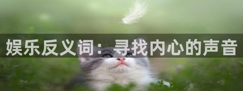 新航娱乐登录地址：娱乐反义词：寻找内心的声音