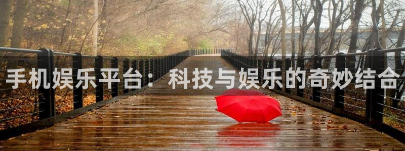 新航娱乐登录地址：手机娱乐平台：科技与娱乐的奇妙结合