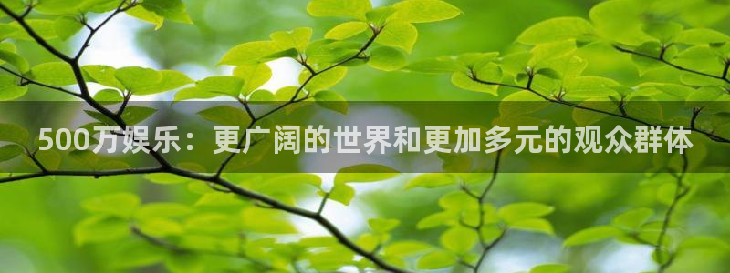 新航娱乐官网：500万娱乐：更广阔的世界和更加多元的观众群体