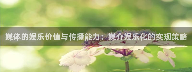 新航娱乐官网：媒体的娱乐价值与传播能力：媒介娱乐化的实现策略