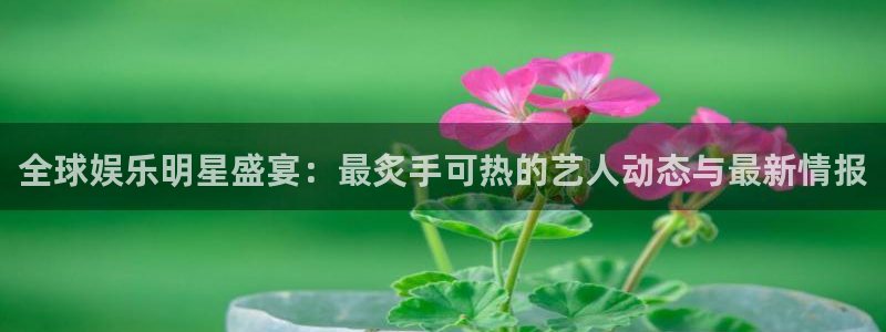 新航娱乐：全球娱乐明星盛宴：最炙手可热的艺人动态与最新情报